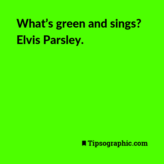 elvis green people management quotes quotes programmer funny sprint joke about time management tipsographic