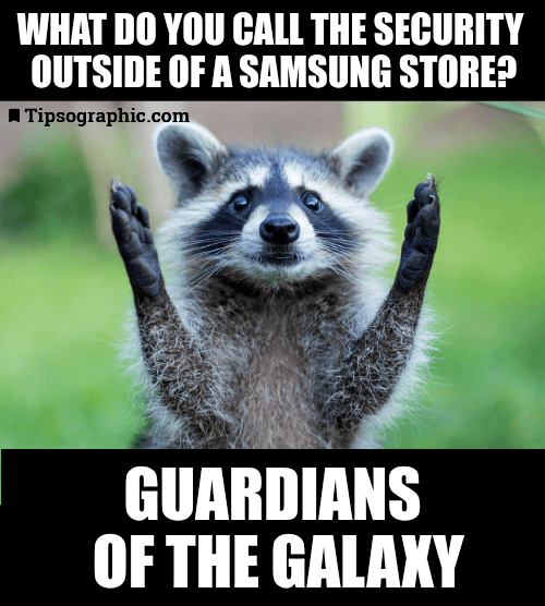 guardians of the galaxy meme raccoon php jokes lean manufacturing humor java programming jokes help desk quotes tipsographic