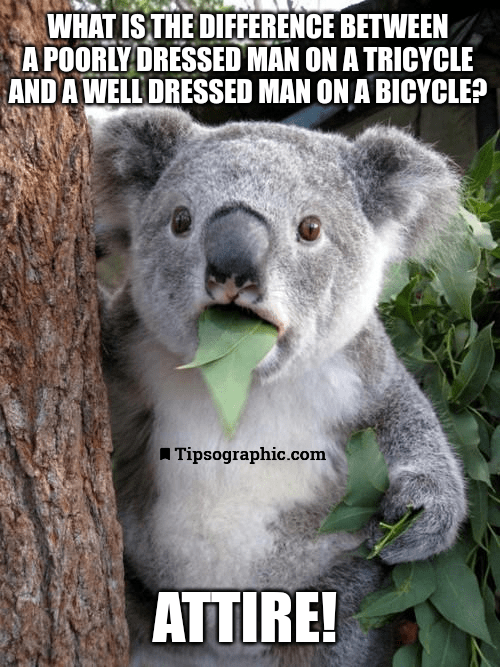 koala bear meme marketing humor humorous quote of the day funny pc jokes funniest most messed up joke tipsographic