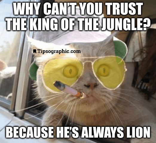 lion joke funny computer cartoons motivational quotes for employees from managers onion jokes cute funny inspirational quotes jokes about networking tipsographic
