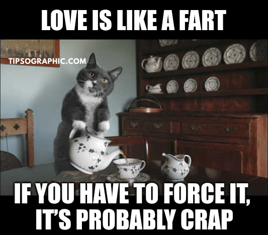 love is like a fart jokes about crap iq test personality test funny test dental humor digital marketing quotes motivational one liners short and funny quotes tipsographic